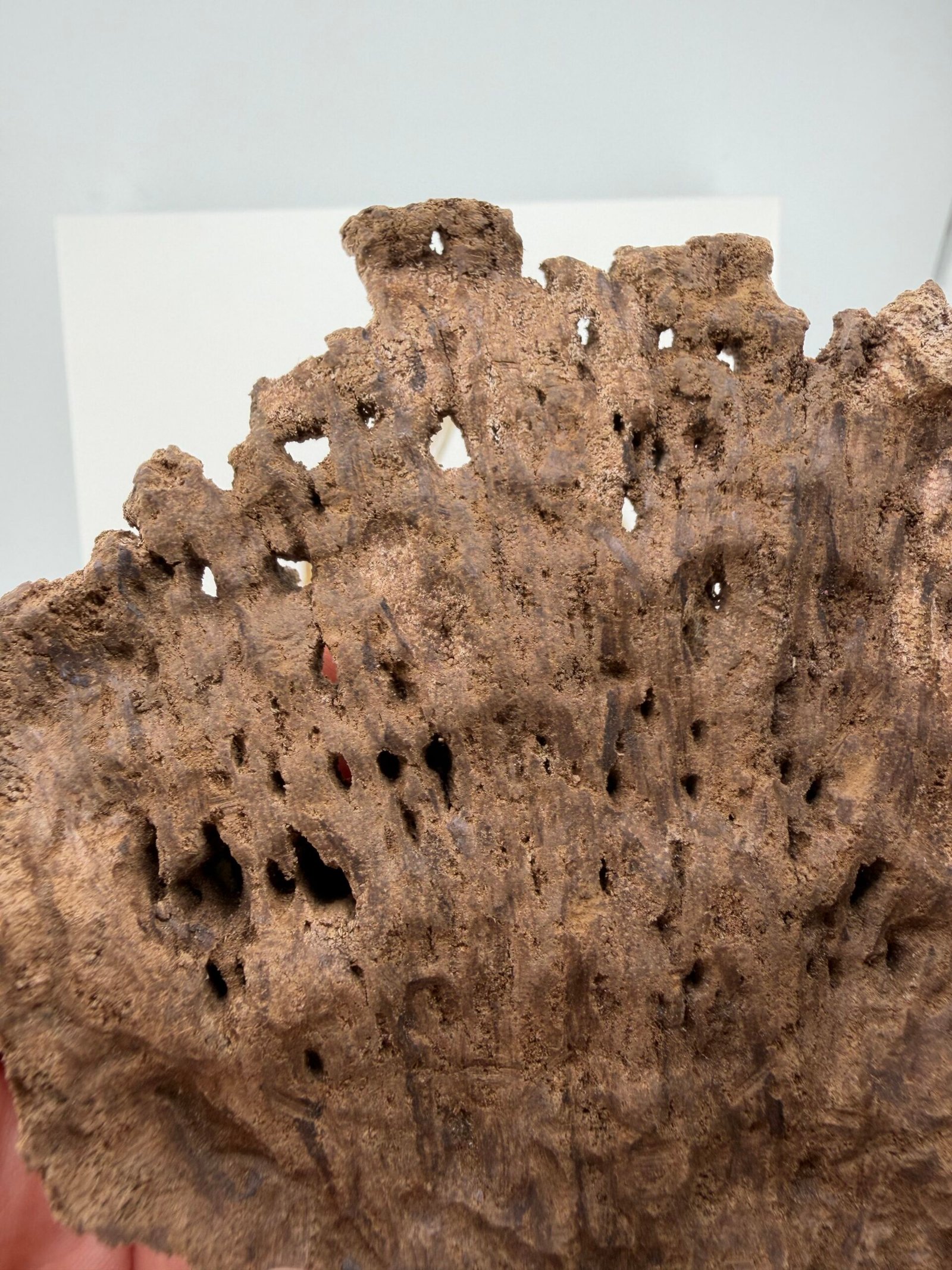 Char Oud - Image 3